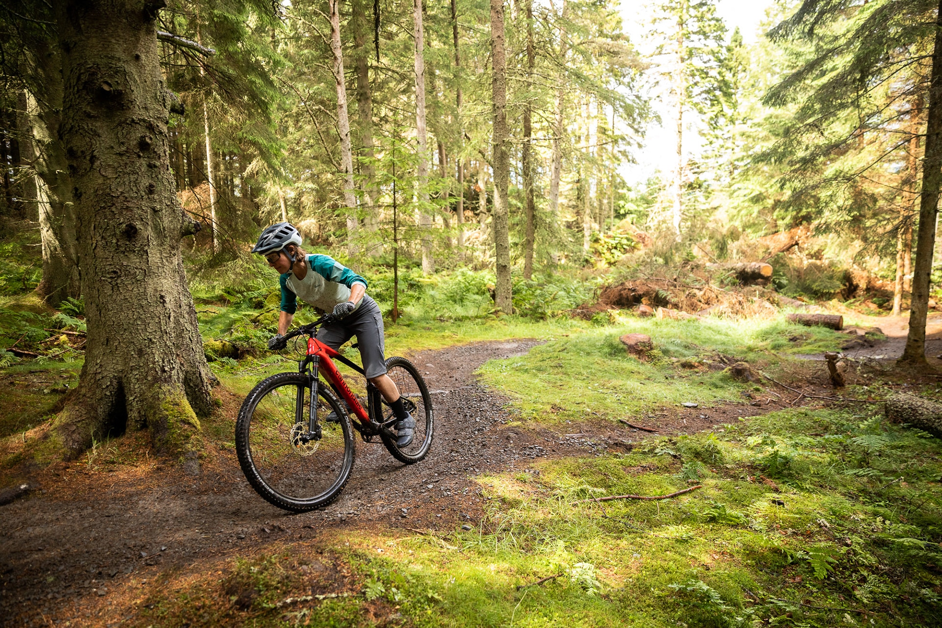 Cycling In Jungle