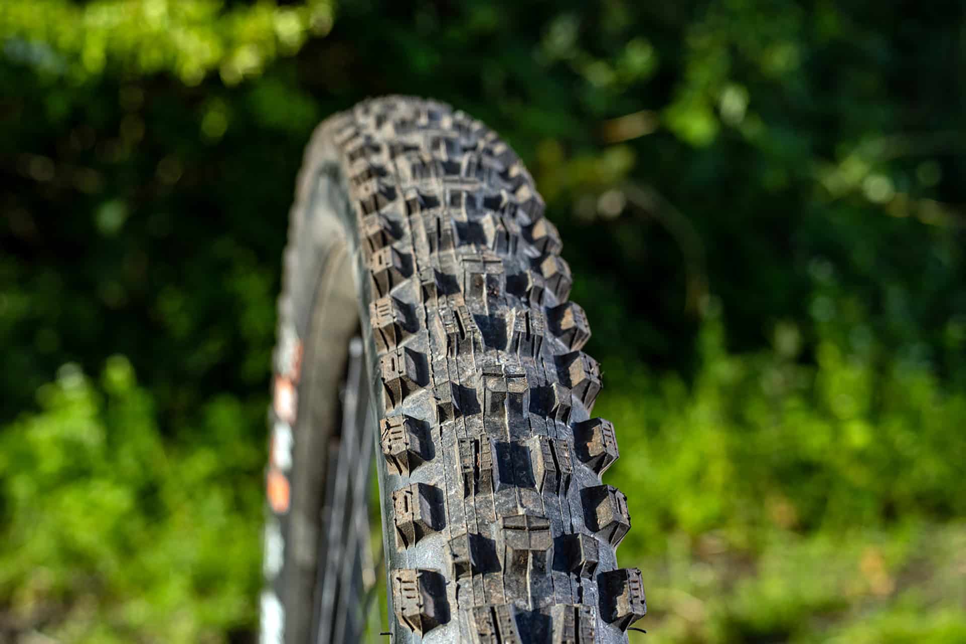 Maxxis Assegai 3C Maxxgrip Exo Wt