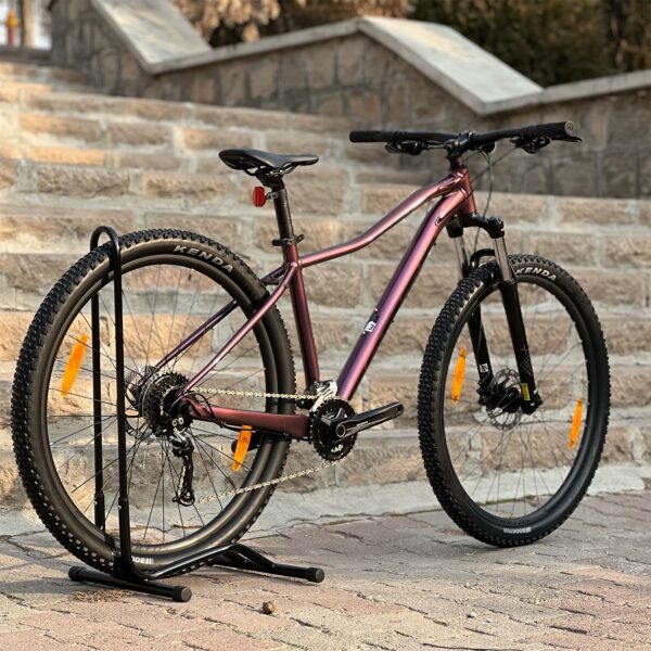 رخ Scott Contessa Active 40 2024